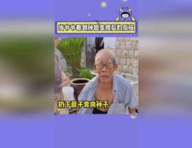 搞笑娱乐吃瓜图片高清版,带你领略欢乐瞬间