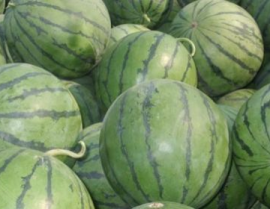 吃瓜星娱乐为什么说人类要吃盐,吃瓜星娱乐视角下的盐与人类生存之谜