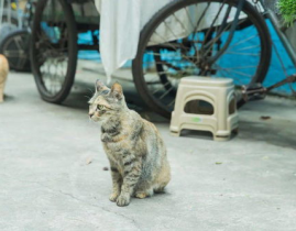 娱乐718吃瓜速看天气