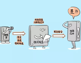 娱乐吃瓜冷知识,娱乐圈那些鲜为人知的“吃瓜”冷知识揭秘