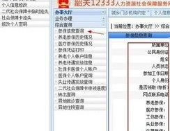 养老保险缴费计算器,计算器助您规划未来养老金”