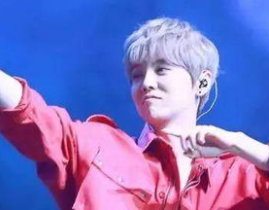 娱乐吃瓜猫鹿晗恋情官宣,娱乐圈新恋情引爆热议