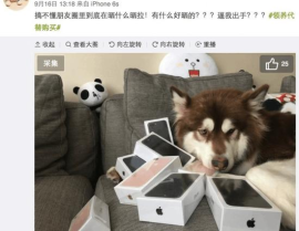 娱乐圈吃瓜小狗小说在线阅读