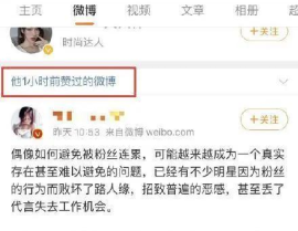 娱乐吃瓜君王子文,娱乐圈的“吃瓜”女王，揭秘明星幕后故事