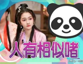 娱乐吃瓜爆料小说推荐,揭秘明星背后的秘密与八卦