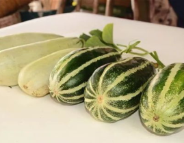 娱乐吃瓜718网红瓜