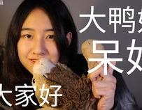 娱乐圈吃瓜up主,吃瓜UP主带你探秘明星幕后故事